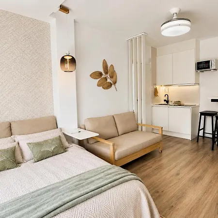 Higueron Holiday home *